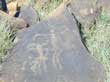 Wildebeestkuil engraving 2
