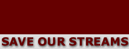 Save Our Streams