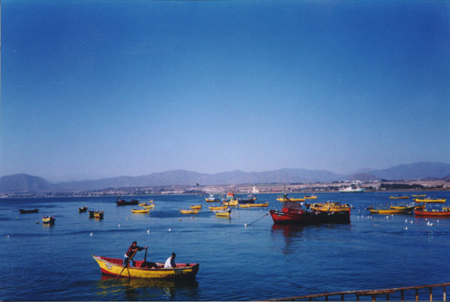 Fishermen at Work