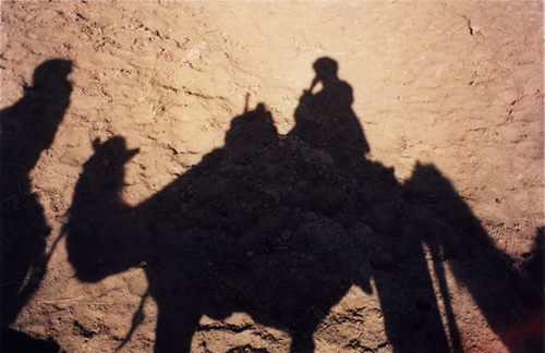 Desert Reflection