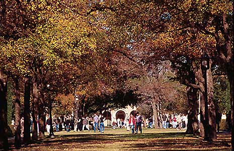 Rice University Campus