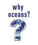 Why the Oceans Matter