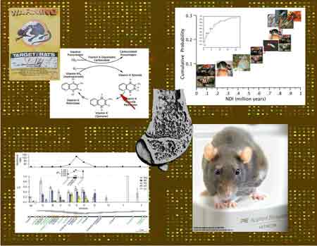 lab study