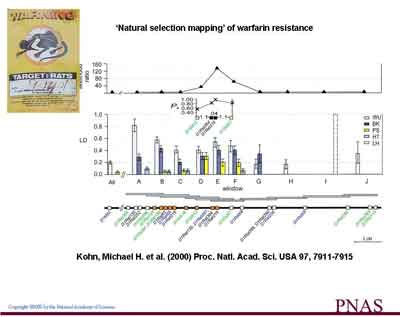 warfarin