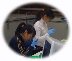 lab work