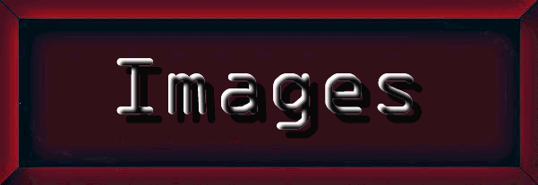 IMAGE GALLERY