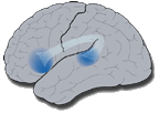 langbrain logo