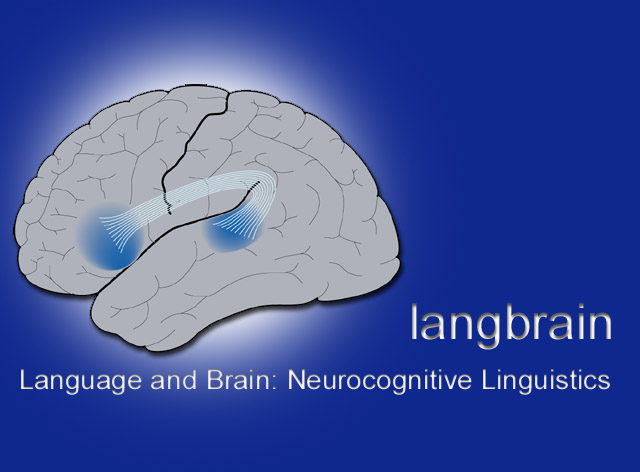 langbrain - Language and Brain: Neurocognitive Linguistics