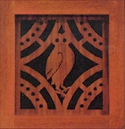 OWL PHOTO