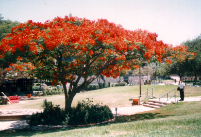 Bar-Ilan University