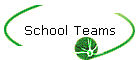 School Teams