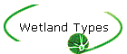 Wetland Types