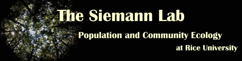 The Sieman Lab at Rice University