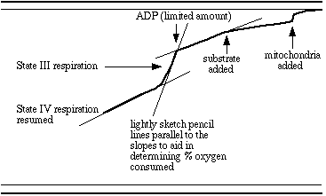 Oxygen Consumption Chart