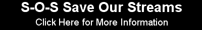 Save Our Stream